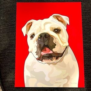 Georgia Bulldog Photos